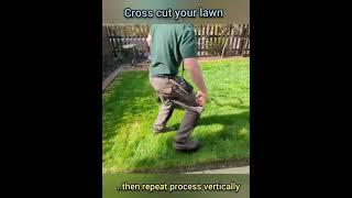 #lawncare IMO this is the best way of dealing with thick,wet,long grass . give i