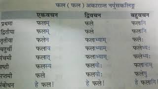 फल शब्द रूप संस्कृत में;phal shabad roop in sanskrit; monikaallclasses; sanskrit for all classes;