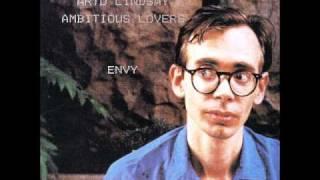 Ambitious Lovers - Too Many Mansions
