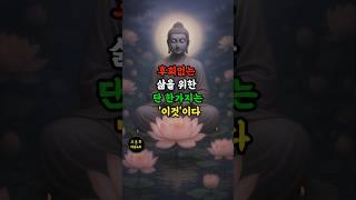 후회 없는 인생을 살려면 이렇게 하라 | 부처님지혜 | 부처님명언 | #불교철학 #석가모니말씀 #인생조언