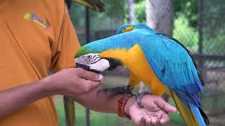 Bird Park, Hambantota