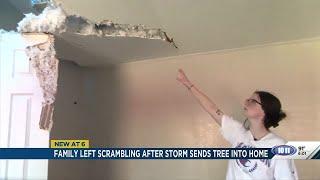 Family left scrambling after storm sends tree into home