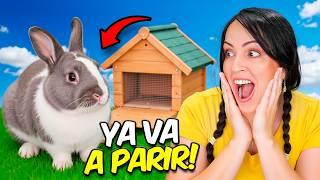The Rabbit is Going to Give Birth  Sandra Cires Vlog