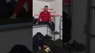 Без слов