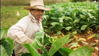 Rundrejse på Cuba med dansk rejseleder