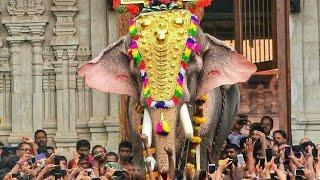 Kaanthaa Njaanum Varaam - Thrissur Pooram Song -2018- 2019