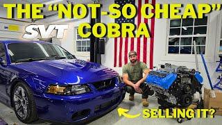 The CHEAPEST + WORST SVT Cobra: Full Cost Breakdown And Build Recap!!