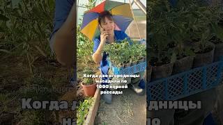 Кому место занять? #деревня #дача #садоводничество #огород #юмор #деньвдеревне #сад