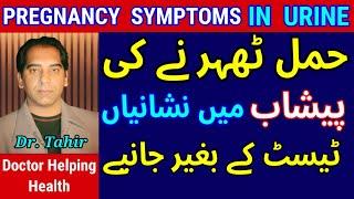 Pregnancy Symptoms in Urine |Early Symptoms of Pregnancy in Urdu |First Week Pregnancy Symptoms