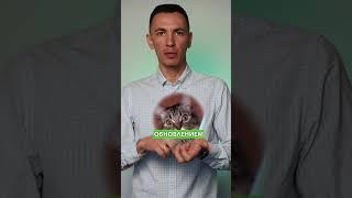 Ключевые люди в команде для работы на маркетплейсах
