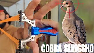 Cobra Slingshot Hunting/Unboxing/Installation | Slingshot Hunting Wild Dove | Outdoor Gadgets