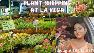 Plant Shopping at La Vega|| Trinidadian Youtuber