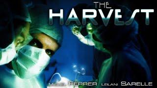 The Harvest FULL MOVIE | Thriller Movie | George Clooney & Miguel Ferrer | The Midnight Screening II