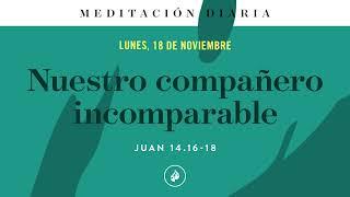 Nuestro compañero incomparable – Meditación Diaria