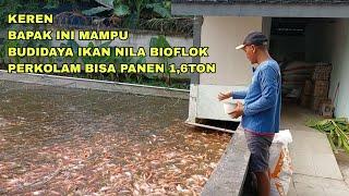 KEREN, BAPAK INI MAMPU BUDIDAYA IKAN NILA BIOFLOK PERKOLAM BISA PANEN 1,6TON