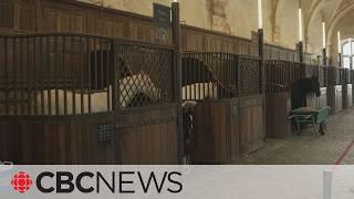 Inside the Great Stables at Versailles, where Olympians will saddle up