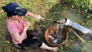 Amazing Oil Fishing - Unique Fish Trapping System With Primitive Technology Of Catching Big Fish