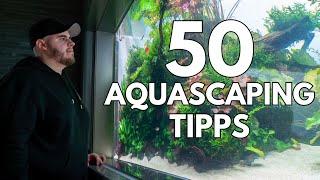 50 things I learned in 6.5 years of aquascaping!