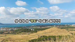 섬속의 섬 우도, 차 가지고 가기-제주도 여행 일년살기