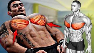 5 Best Exercise "LOWER CHEST" Workout