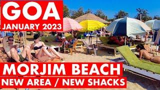 Morjim Beach - January 2023 | Goa Vlog | North Goa | Famous Russian Beach | Shacks & Prices |