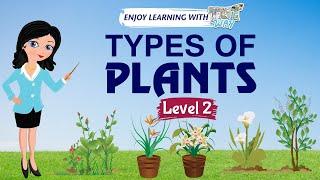 Types of Plants | Science | Grade 1 & 2 | TutWay