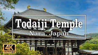 4K Todaiji Temple in Nara, Japan. Walk around the area.