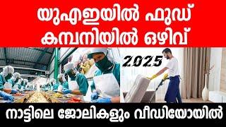 Dubai job vacancy 2025 for freshers/ Dubai jobs today| Dubai Jobs 2025\ Dubai job vacancy Malayalam/