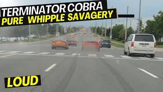 BRUTAL TERMINATOR COBRA SAVAGE DRIVING INSANE SOUND