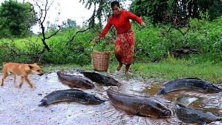 Woman found food after raining, fry fish for cat and dog food; life in jungle