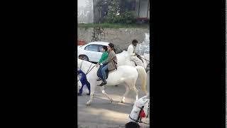 Horse Ride in Murree, Pakistan