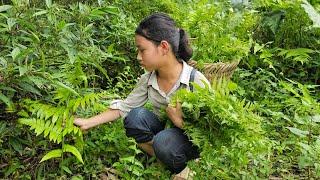 Orphaned girl - earns a living every day picking vegetables to sell and buy food