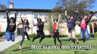Video Flashcards #5