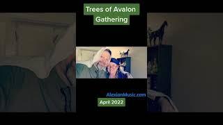 Trees of Avalon Gathering - April 2022  - Alexian