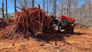 Kubota svl 97-2 moving Huge stumps ( 8k pound stump!! )