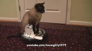 2 iRobot ROomba CATS! Simon's Cat VS. Roomba Cat Max-Arthur