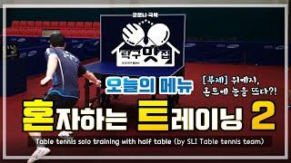 [탁구맛집] "탁구대 벽에 혼자 탁구치기" 혼자하는 탁구 트레이닝 (feat.위예지/강진호 선수) , Table Tennis Training