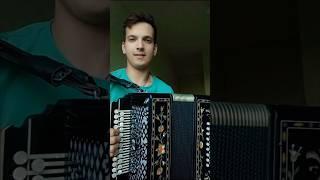 Только стоя и даюся #гармонь #частушка #песниподгармонь #страдания #наигрыши