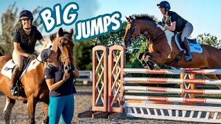 Pro SHOWJUMPER Competes My Horse