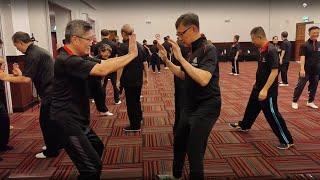 Chen Style Taiji workshop by Master Zhu Xiang Qian 陈式太极拳协会太极生活营 - 朱向前老师