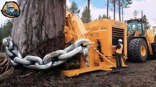 Extreme Dangerous Fastest Big Chainsaw Cutting Tree Machines - Monster Removes Tree Stump | Part 7