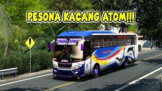 Pesona Kacang Atom!! Sugeng Rahayu "W7129UP" Full Stut Di Jalur Selatan | ETS-2 INDONESIA