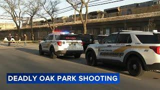 6 in custody after man killed in Oak Park shooting, police say