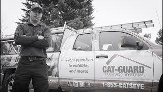 Wildlife Exclusion That's Rock Solid: Cat-Guard Commercial