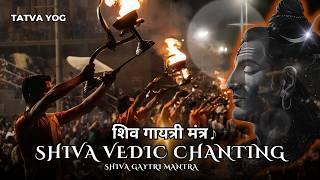 Vedic Chanting - Shiv Gayatri Mantra | Maha Kumbh Special 2025