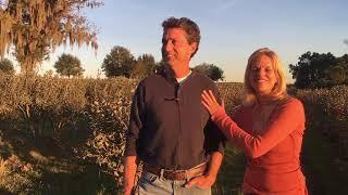 King Grove Organic Farm Talks Real Organic Blueberries