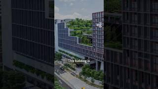 This building mimics a hill! ️