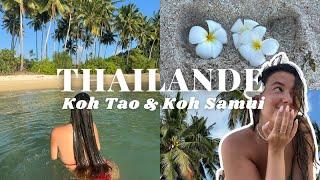 THAILANDE VLOG | Koh Tao & Koh Samui