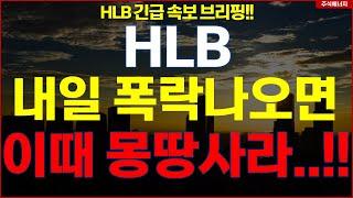 HLB그룹 에이치엘비 "내일 폭락 나오면" 이 때 몽땅사라..!! HLB테라퓨틱스 HLB제약 HLB글로벌 HLB생명과학