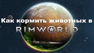 Как кормить животных в RimWorld? Животноводство